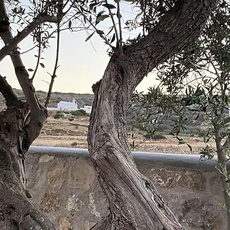 Living In The Nature