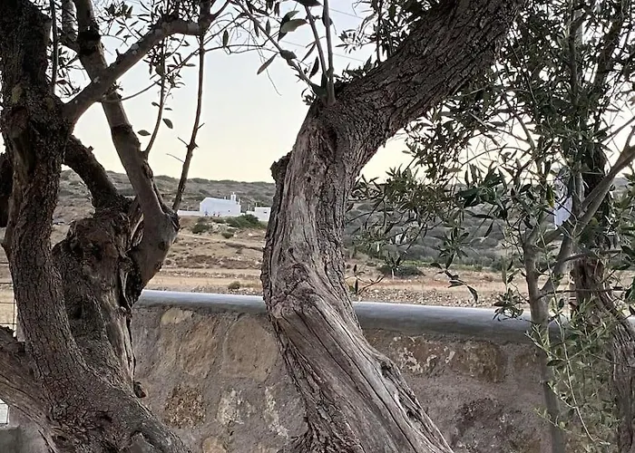 Living In The Nature