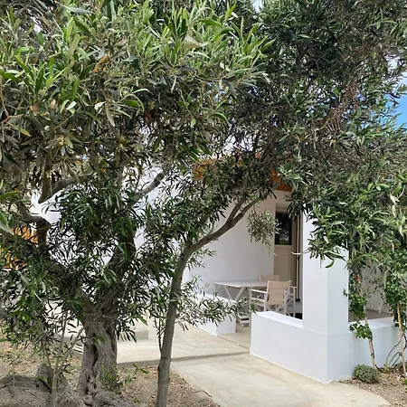 Living In The Nature * Zefiría